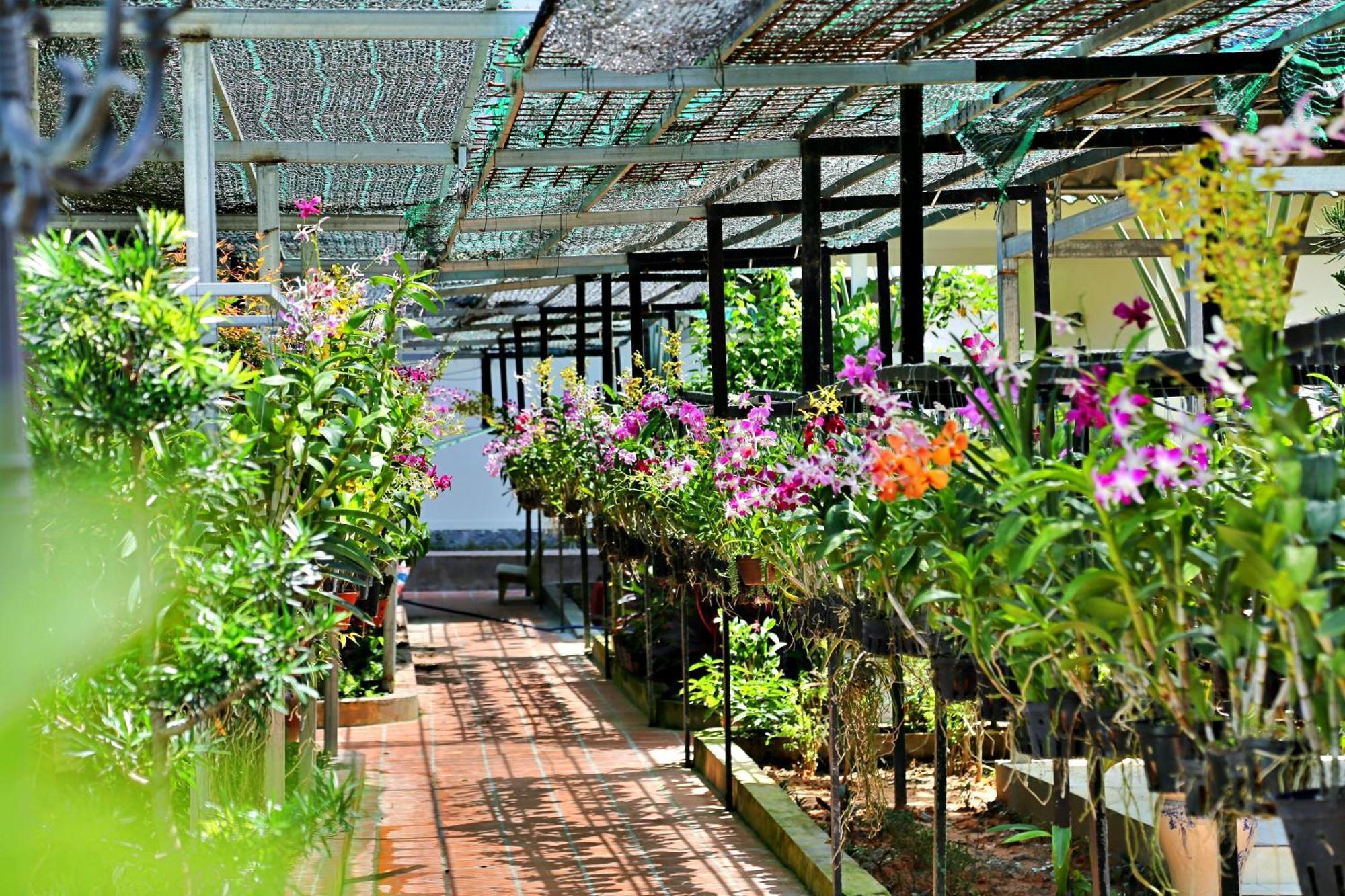 881 Lam Ha Pool Resort Phú Quốc Eksteriør billede